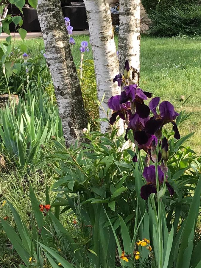 L Escale En Beauce Bed & Breakfast Maisons  Bagian luar foto